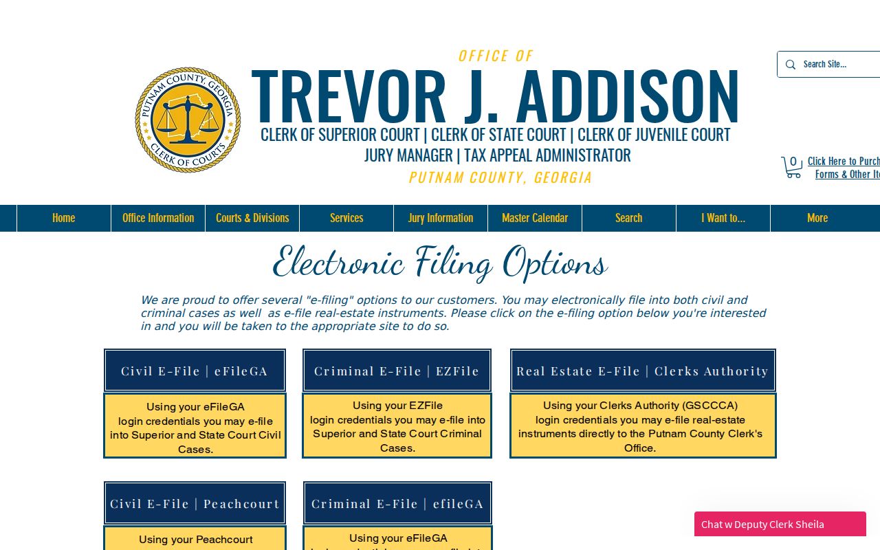 Putnam County criminal docket electronic filing options